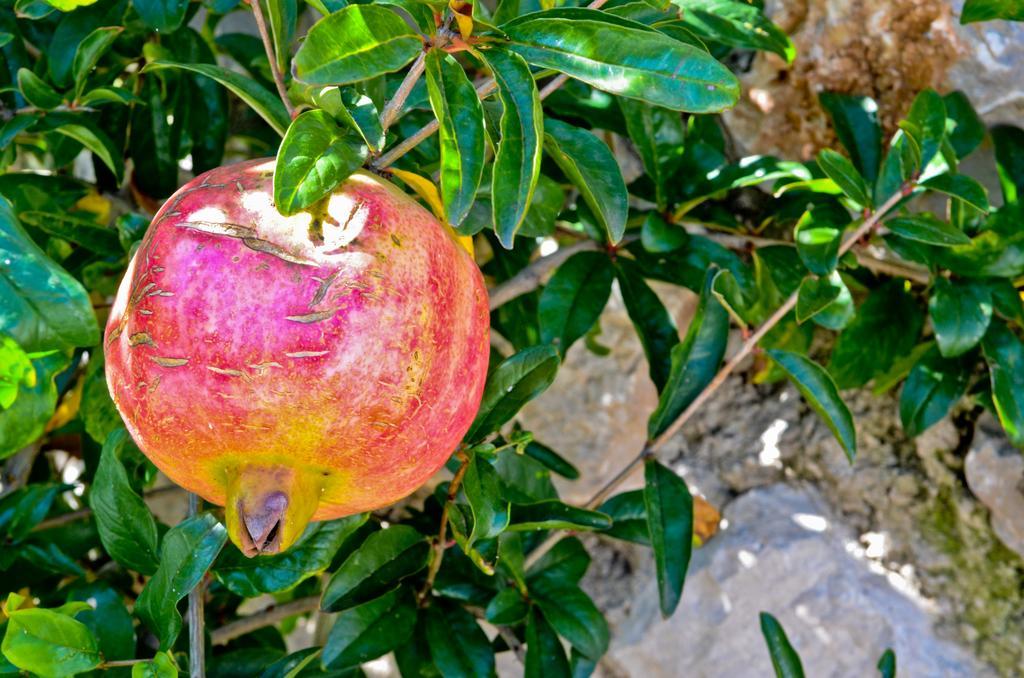 Katerina'S Village Ayios Nikitas Luaran gambar